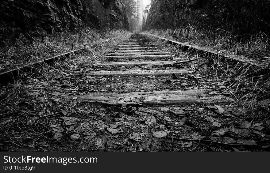 Black and white low perspective view of disused railway tracks in the countryside. Black and white low perspective view of disused railway tracks in the countryside.