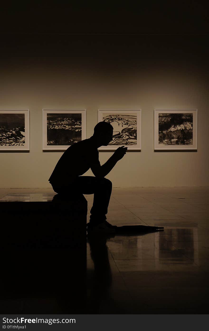 Side view of thoughtful silhouetted man in art museum with painting on wall.