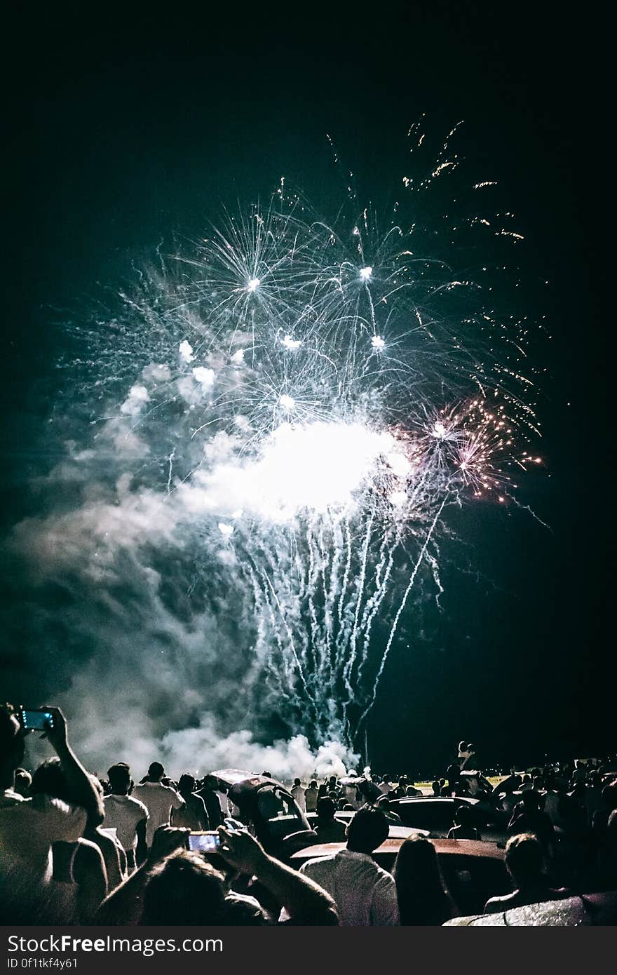 A group of people watching fireworks in the sky. A group of people watching fireworks in the sky.