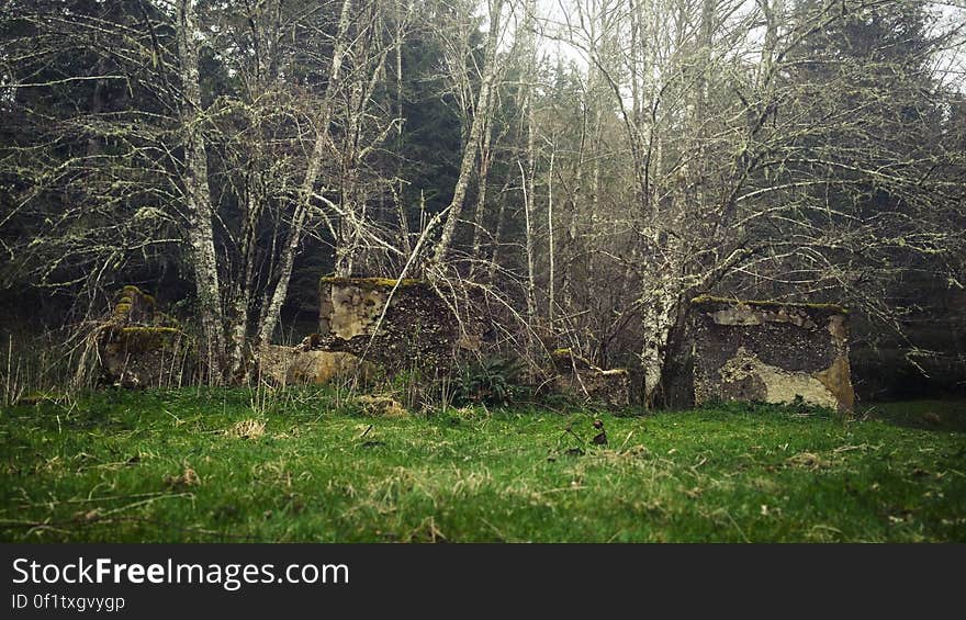 Remains of a school in the Melmont Ghost Town