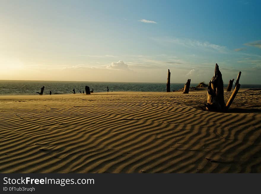 Desert de dunes