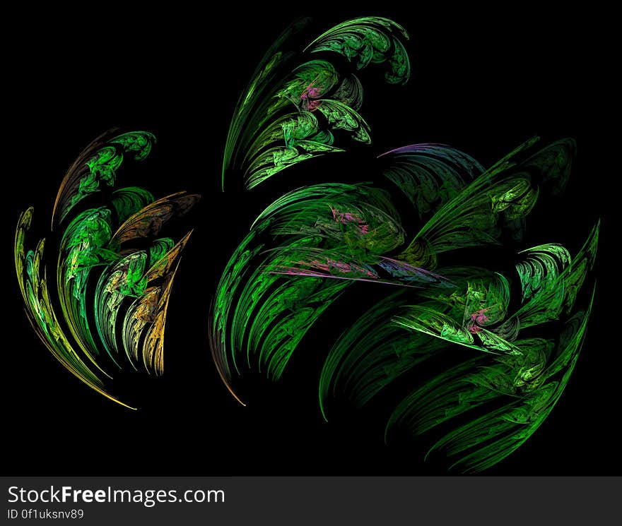 ferny fractal