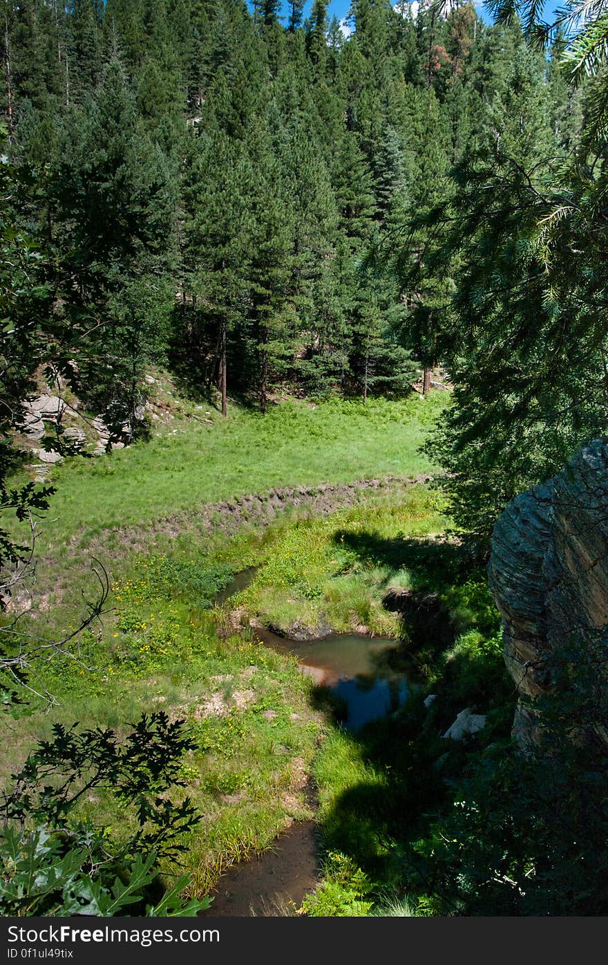 Along the creek at the bottom of Barbershop Canyon. Photo by Deborah Lee Soltesz, August 2010. Credit: U.S. Forest Service, Coconino National Forest. For more information about this trail, see the Barbershop No. 91 trail description on the Coconino National Forest website. Along the creek at the bottom of Barbershop Canyon. Photo by Deborah Lee Soltesz, August 2010. Credit: U.S. Forest Service, Coconino National Forest. For more information about this trail, see the Barbershop No. 91 trail description on the Coconino National Forest website.