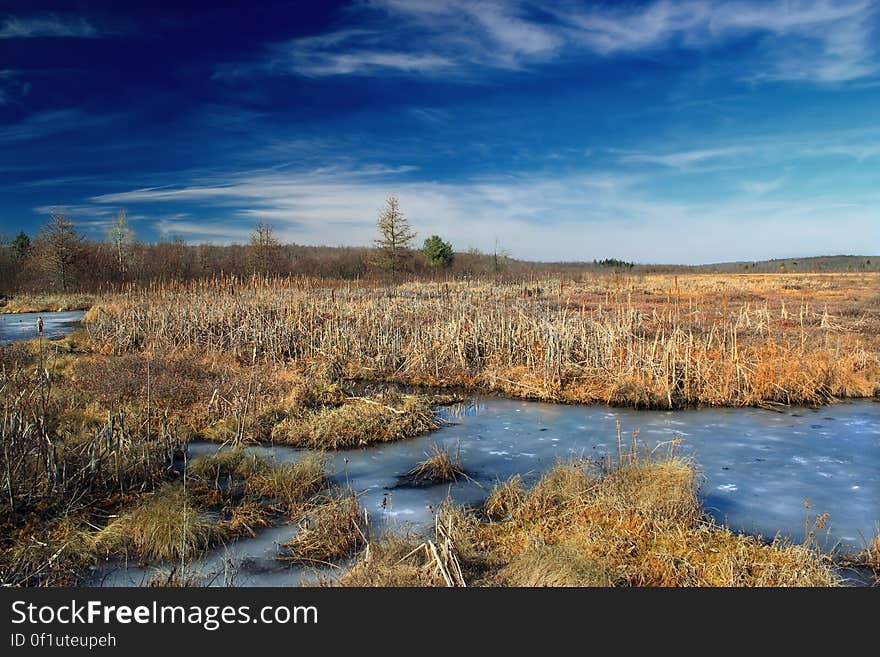 Wetland at the headwaters of Frame Cabin Run, Monroe County, within Gouldsboro State Park. I&#x27;ve licensed this photo as CC0 for release into the public domain. You&#x27;re welcome to download the photo and use it without attribution. Wetland at the headwaters of Frame Cabin Run, Monroe County, within Gouldsboro State Park. I&#x27;ve licensed this photo as CC0 for release into the public domain. You&#x27;re welcome to download the photo and use it without attribution.