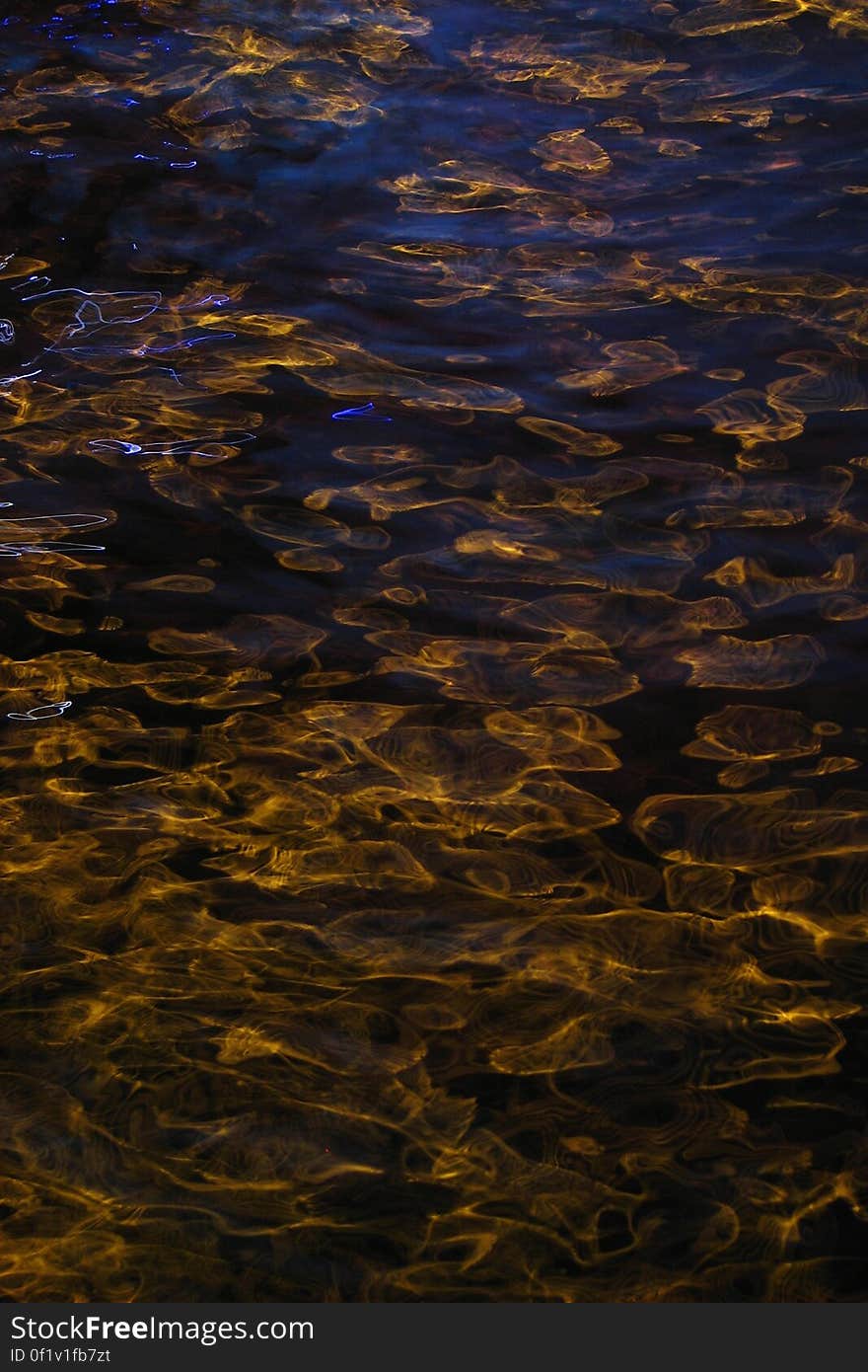 lights in water, Las Vegas 5