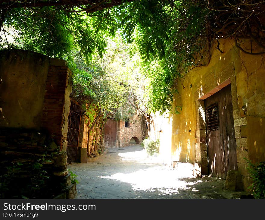 A few streets near where I live are so lovely. They are old and quiet, and taken over by nature &#x28;as well as cats&#x29;. I wouldn&#x27;t mind living there.