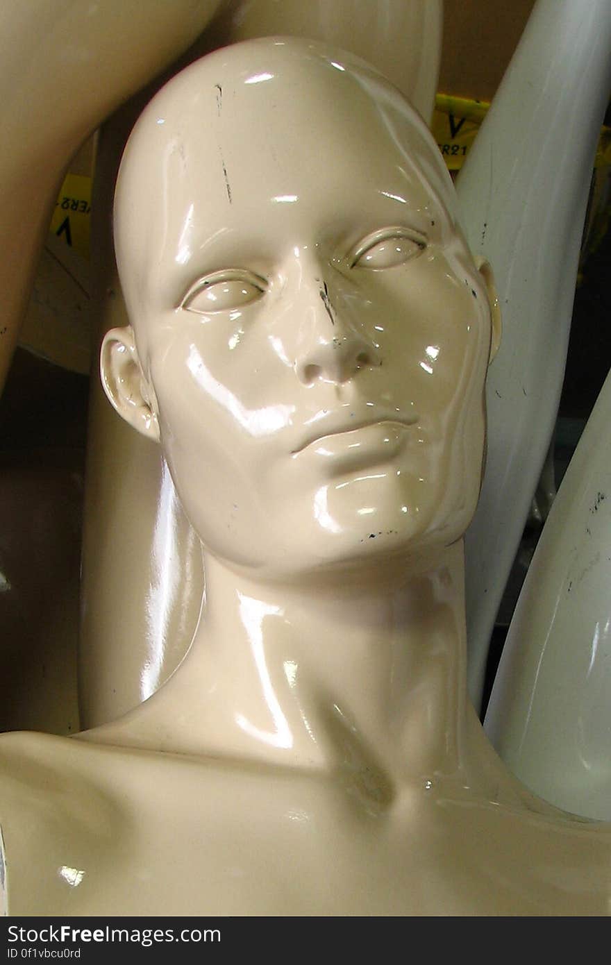 noble mannequin face