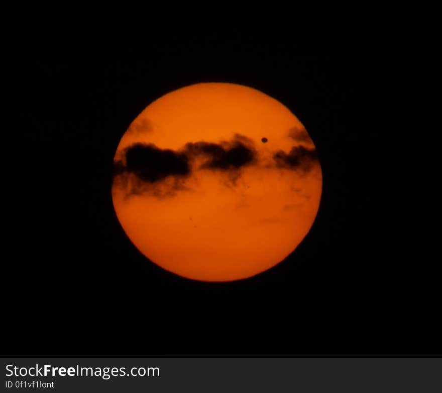 Sky, Amber, Plant, Astronomical object, Tree, Sun