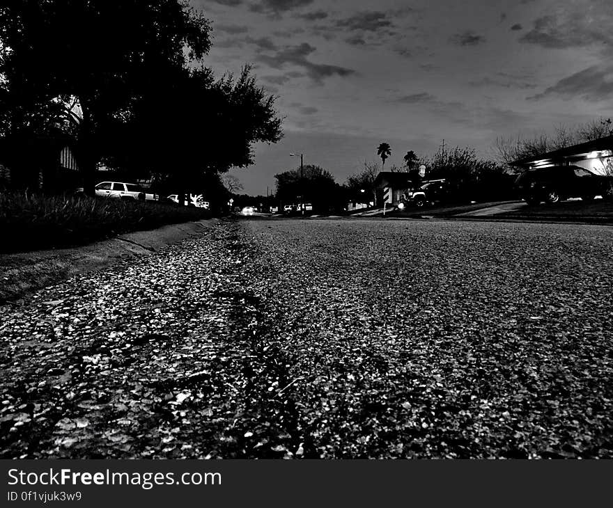 Neighborhood street at night in black and white.