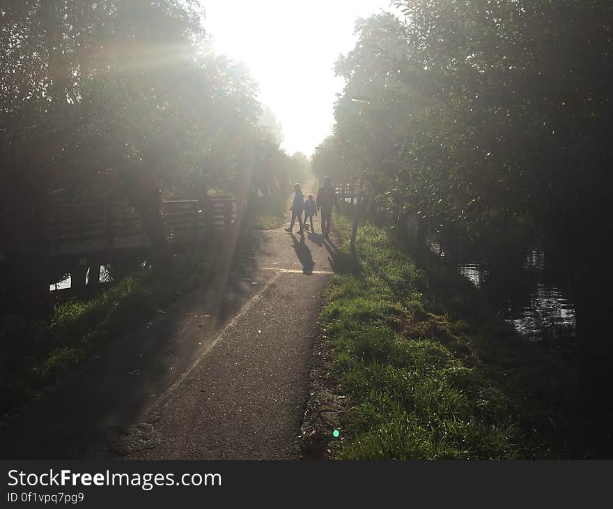 Backlight Path With Wanderers In November