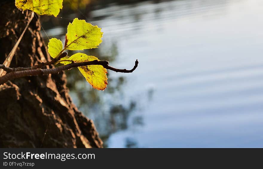 autumn walk