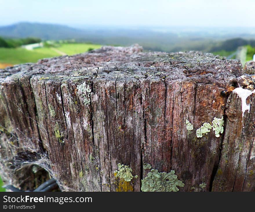 Looking down from the hills at Little Forest. Looking down from the hills at Little Forest