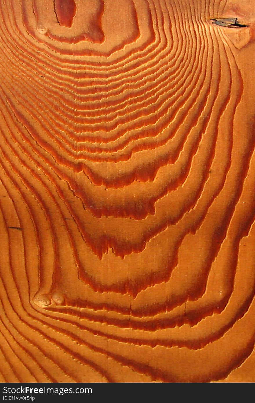 wood texture 5