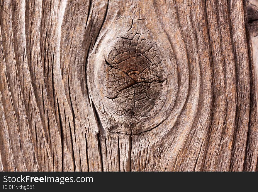 Closeup of a knot in an old tree trunk. Closeup of a knot in an old tree trunk.