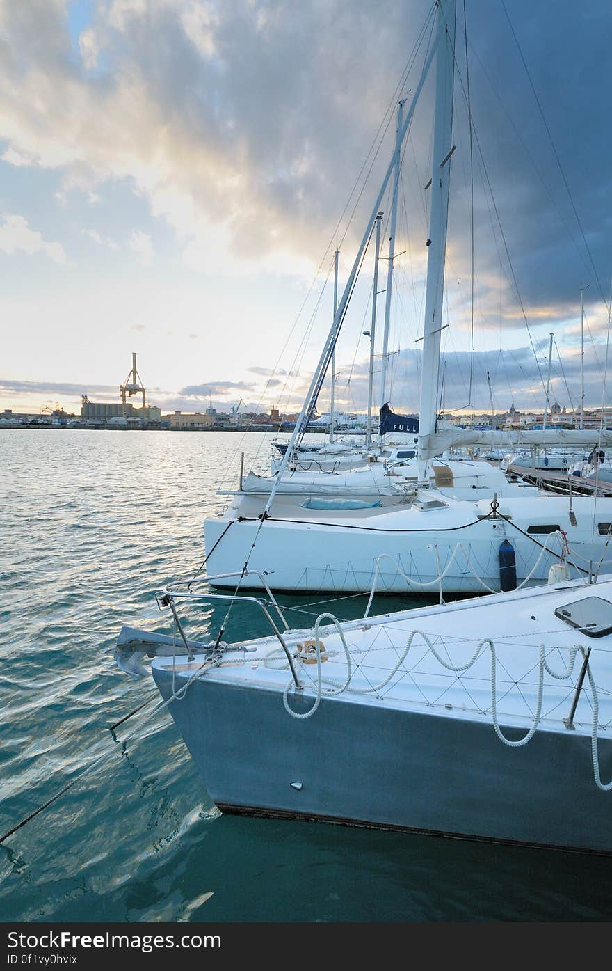 Il circolo nautico NIC viene fondato a Catania il 25/3/1972 e oggi conta oltre 600 iscritti tra soci, atleti, juniores e cadetti, coprendo una fascia di etÃ  che va dai bambini di 7 anni fino agli ultraottantenni, di ambo i sessi e di qualunque ceto sociale. Tessera ogni anno circa 500 soci sportivi con la Federazione Italiana Vela. Ha 7 dipendenti assunti a tempo pieno secondo il contratto nazionale di lavoro di categoria. Offre ormeggio a prezzi estremamente contenuti grazie al fatto di essere una associazione sportiva senza fini di lucro a circa 200 imbarcazioni che fanno attivitÃ  sportiva e consente in tal modo lâ€™esistenza di una nautica sociale e non di lusso che altrimenti sarebbe costretta a scomparire considerato il costo elevato di un posto barca negli altri ormeggi catanesi. Il Circolo Nic tra le varie associazioni sportive e culturali rappresenta da oltre un trentennio, il fiore allâ€™occhiello della cittÃ  e dellâ€™isola. Eâ€™ affiliato alla Federazione Italiana Vela &#x28;in cui alcuni soci ricoprono ed hanno ricoperto incarichi importanti&#x29; ed Ã¨ Centro CONI di Avviamento allo Sport. Offre ospitalitÃ  alle barche in transito di tutte le nazionalitÃ  al solo costo del rimborso spese ed avvalendosi di personale qualificato e poliglotta. Possiede una Scuola di Vela autorizzata dalla Federazione Italiana Vela che organizza corsi di Vela a basso costo ed aperti a tutti creando in tal modo il primo approccio dei giovani con il Mare e la Vela ed avvicinando ogni anno a questo sport numerosissimi bambini e ragazzi. Ha formato ragazzi catanesi, che hanno ottenuto brillanti affermazioni in prestigiose manifestazioni nazionali ed internazionali: uno dei nostri atleti, Nello Pavoni, nella scorsa edizione della Coppa America ha fatto parte dellâ€™equipaggio di &#x22;Mascalzone Latino&#x22; dopo avere vinto insieme a Francesco Calabretta nel 2000 il titolo Mondiale IMS..Inoltre fra i nostri atleti ricordiamo Lucio Di Mauro,nostro socio,che nel periodo fra il 1983 e il 1995 ha fatto parte della squadra nazionale di tavola a vela. In questo periodo ha conseguito numerosi successi nazionali e internazionali: campione del mondo classe Windsurfer, 2 medaglie d&#x27;argento alle Universiadi, 9Â°deg; alla pre-olimpica di Pusan &#x28;Seoul &#x27;98&#x29;, Campione italiano classe olimpica, Campione italiano classe Mistral, Campione italiano classe Race-board, Campione italiano Universitario, 2Â°deg; alla traversata Sicilia Malta. Ricordiamo ancora Domenico Dellâ€™Aria, Campione italiano nel 1985, che dopo numerose partecipazioni a Campionati Europei e Mondiali, dal 1988 al 1992 ricopre il ruolo di Tecnico Federale della Squadra Nazionale ed Olimpica di tavole a vela con cui partecipa alle Olimpiadi di Seul â€™88 e Barcellona â€™92. Il Circolo si distingue da un &#x22;marina&#x22; per la pratica dello sport, dellâ€™arte marinaresca e della cultura nautica che diffonde senza scopo di lucro, cosÃ¬ come previsto rigorosamente dallo Statuto, con la collaborazione di tutti i soci. Nello Sport abbiamo svolto nello scorso trentennio attivitÃ  sportive quali Campionati nazionali ed internazionali giovanili, Giro del mondo a vela con equipaggio familiare, Circumnavigazione dellâ€™Africa, Giro dâ€™Italia a vela, Traversata atlantica nel 1986 e nel 2005, partecipazioni vittoriose a campionati nazionali ed europei, Middle Sea Race, Siracusa-Malta, La Rotta del Sahara. Il Circolo ha di recente acquisito un ulteriore risultato che lo conferma come associazione efficacemente dedita al perseguimento di finalitÃ  di grande rilievo nello sport e nel sociale: ha ricevuto un importante riconoscimento dal Rotary International,con lâ€™ assegnazione del Premio Mannino 2005 &#x22;per avere sostenuto la pratica della vela come godimento e corretta fruizione della natura e per avere sempre proposto eventi nazionali ed internazionali che fanno conoscere i tanti aspetti del nostro mare e del nostro territorio.&#x22; Nel 2005 Ã¨ stato inserito, nella Clubswan Directory, costituito dagli Yacht Clubs piÃ¹ prestigiosi dâ€™Europa che svolgono una intensa ed importante attivitÃ  sportiva e culturale sul territorio per diffondere la conoscenza del Mare e della Vela. Il Circolo collabora da molti anni con le Scuole per iniziative che coinvolgono gli studenti per trasmettere la cultura del Mare. Interagiamo da circa 10 anni con lâ€™Istituto Nautico &#x22;Duca degli Abruzzi&#x22; di Catania con cui abbiamo stipulato nel 2003 un Protocollo dâ€™Intesa in cui viene riconosciuto ufficialmente al Circolo il ruolo di &#x22;soggetto formatore di percorsi didattici nel sistema di istruzione e di formazione professionale, nel settore della nautica, delle attivitÃ  marinare, del turismo nautico, della tecnica e delle varie attivitÃ  collegate al diporto ed alle aree portuali.&#x22; Tale protocollo Ã¨ il primo che Ã¨ stato siglato in Italia fra un Istituto Scolastico di Pubblica Istruzione ed un Circolo Nautico. Il Circolo ha costituito un gruppo donatori di sangue e organizza una regata a favore dellâ€™AVIS di Catania. Il Circolo Nic settimanalmente organizza tavole rotonde ed incontri con specialisti del settore su vari argomenti, quali le correnti di marea nello Stretto di Messina, Oceanografia, Navigazione piana, Navigazione Astronomica, Navigazione strumentale, Navigazione integrata, Meteorologia, Arte della navigazione a remi e a vela latina, galateo marinaresco. Il Circolo ha organizzato conferenze sullâ€™abbattimento delle barriere architettoniche nella nautica, e nellâ€™ambito di tali manifestazioni ha ospitato il catamarano &#x22;Spirito di Stella&#x22;. Il Circolo Ã¨ un luogo ove Ã¨ possibile avere scambi di opinioni e di esperienze. Ãˆ nostra convinzione, infatti, che il bagaglio di conoscenze ed esperienze accumulate in tanti anni nel settore della Nautica non debba essere disperso, ma debba invece essere trasmesso agli altri. Il Nic si presenta come una realtÃ  unica con un&#x27;attivitÃ  che contribuisce all&#x27;elevazione morale dei giovani diffondendo una cultura del mare che possa cosÃ¬ essere sempre piÃ¹ presente nelle nuove generazioni. Il circolo nautico NIC viene fondato a Catania il 25/3/1972 e oggi conta oltre 600 iscritti tra soci, atleti, juniores e cadetti, coprendo una fascia di etÃ  che va dai bambini di 7 anni fino agli ultraottantenni, di ambo i sessi e di qualunque ceto sociale. Tessera ogni anno circa 500 soci sportivi con la Federazione Italiana Vela. Ha 7 dipendenti assunti a tempo pieno secondo il contratto nazionale di lavoro di categoria. Offre ormeggio a prezzi estremamente contenuti grazie al fatto di essere una associazione sportiva senza fini di lucro a circa 200 imbarcazioni che fanno attivitÃ  sportiva e consente in tal modo lâ€™esistenza di una nautica sociale e non di lusso che altrimenti sarebbe costretta a scomparire considerato il costo elevato di un posto barca negli altri ormeggi catanesi. Il Circolo Nic tra le varie associazioni sportive e culturali rappresenta da oltre un trentennio, il fiore allâ€™occhiello della cittÃ  e dellâ€™isola. Eâ€™ affiliato alla Federazione Italiana Vela &#x28;in cui alcuni soci ricoprono ed hanno ricoperto incarichi importanti&#x29; ed Ã¨ Centro CONI di Avviamento allo Sport. Offre ospitalitÃ  alle barche in transito di tutte le nazionalitÃ  al solo costo del rimborso spese ed avvalendosi di personale qualificato e poliglotta. Possiede una Scuola di Vela autorizzata dalla Federazione Italiana Vela che organizza corsi di Vela a basso costo ed aperti a tutti creando in tal modo il primo approccio dei giovani con il Mare e la Vela ed avvicinando ogni anno a questo sport numerosissimi bambini e ragazzi. Ha formato ragazzi catanesi, che hanno ottenuto brillanti affermazioni in prestigiose manifestazioni nazionali ed internazionali: uno dei nostri atleti, Nello Pavoni, nella scorsa edizione della Coppa America ha fatto parte dellâ€™equipaggio di &#x22;Mascalzone Latino&#x22; dopo avere vinto insieme a Francesco Calabretta nel 2000 il titolo Mondiale IMS..Inoltre fra i nostri atleti ricordiamo Lucio Di Mauro,nostro socio,che nel periodo fra il 1983 e il 1995 ha fatto parte della squadra nazionale di tavola a vela. In questo periodo ha conseguito numerosi successi nazionali e internazionali: campione del mondo classe Windsurfer, 2 medaglie d&#x27;argento alle Universiadi, 9Â°deg; alla pre-olimpica di Pusan &#x28;Seoul &#x27;98&#x29;, Campione italiano classe olimpica, Campione italiano classe Mistral, Campione italiano classe Race-board, Campione italiano Universitario, 2Â°deg; alla traversata Sicilia Malta. Ricordiamo ancora Domenico Dellâ€™Aria, Campione italiano nel 1985, che dopo numerose partecipazioni a Campionati Europei e Mondiali, dal 1988 al 1992 ricopre il ruolo di Tecnico Federale della Squadra Nazionale ed Olimpica di tavole a vela con cui partecipa alle Olimpiadi di Seul â€™88 e Barcellona â€™92. Il Circolo si distingue da un &#x22;marina&#x22; per la pratica dello sport, dellâ€™arte marinaresca e della cultura nautica che diffonde senza scopo di lucro, cosÃ¬ come previsto rigorosamente dallo Statuto, con la collaborazione di tutti i soci. Nello Sport abbiamo svolto nello scorso trentennio attivitÃ  sportive quali Campionati nazionali ed internazionali giovanili, Giro del mondo a vela con equipaggio familiare, Circumnavigazione dellâ€™Africa, Giro dâ€™Italia a vela, Traversata atlantica nel 1986 e nel 2005, partecipazioni vittoriose a campionati nazionali ed europei, Middle Sea Race, Siracusa-Malta, La Rotta del Sahara. Il Circolo ha di recente acquisito un ulteriore risultato che lo conferma come associazione efficacemente dedita al perseguimento di finalitÃ  di grande rilievo nello sport e nel sociale: ha ricevuto un importante riconoscimento dal Rotary International,con lâ€™ assegnazione del Premio Mannino 2005 &#x22;per avere sostenuto la pratica della vela come godimento e corretta fruizione della natura e per avere sempre proposto eventi nazionali ed internazionali che fanno conoscere i tanti aspetti del nostro mare e del nostro territorio.&#x22; Nel 2005 Ã¨ stato inserito, nella Clubswan Directory, costituito dagli Yacht Clubs piÃ¹ prestigiosi dâ€™Europa che svolgono una intensa ed importante attivitÃ  sportiva e culturale sul territorio per diffondere la conoscenza del Mare e della Vela. Il Circolo collabora da molti anni con le Scuole per iniziative che coinvolgono gli studenti per trasmettere la cultura del Mare. Interagiamo da circa 10 anni con lâ€™Istituto Nautico &#x22;Duca degli Abruzzi&#x22; di Catania con cui abbiamo stipulato nel 2003 un Protocollo dâ€™Intesa in cui viene riconosciuto ufficialmente al Circolo il ruolo di &#x22;soggetto formatore di percorsi didattici nel sistema di istruzione e di formazione professionale, nel settore della nautica, delle attivitÃ  marinare, del turismo nautico, della tecnica e delle varie attivitÃ  collegate al diporto ed alle aree portuali.&#x22; Tale protocollo Ã¨ il primo che Ã¨ stato siglato in Italia fra un Istituto Scolastico di Pubblica Istruzione ed un Circolo Nautico. Il Circolo ha costituito un gruppo donatori di sangue e organizza una regata a favore dellâ€™AVIS di Catania. Il Circolo Nic settimanalmente organizza tavole rotonde ed incontri con specialisti del settore su vari argomenti, quali le correnti di marea nello Stretto di Messina, Oceanografia, Navigazione piana, Navigazione Astronomica, Navigazione strumentale, Navigazione integrata, Meteorologia, Arte della navigazione a remi e a vela latina, galateo marinaresco. Il Circolo ha organizzato conferenze sullâ€™abbattimento delle barriere architettoniche nella nautica, e nellâ€™ambito di tali manifestazioni ha ospitato il catamarano &#x22;Spirito di Stella&#x22;. Il Circolo Ã¨ un luogo ove Ã¨ possibile avere scambi di opinioni e di esperienze. Ãˆ nostra convinzione, infatti, che il bagaglio di conoscenze ed esperienze accumulate in tanti anni nel settore della Nautica non debba essere disperso, ma debba invece essere trasmesso agli altri. Il Nic si presenta come una realtÃ  unica con un&#x27;attivitÃ  che contribuisce all&#x27;elevazione morale dei giovani diffondendo una cultura del mare che possa cosÃ¬ essere sempre piÃ¹ presente nelle nuove generazioni.