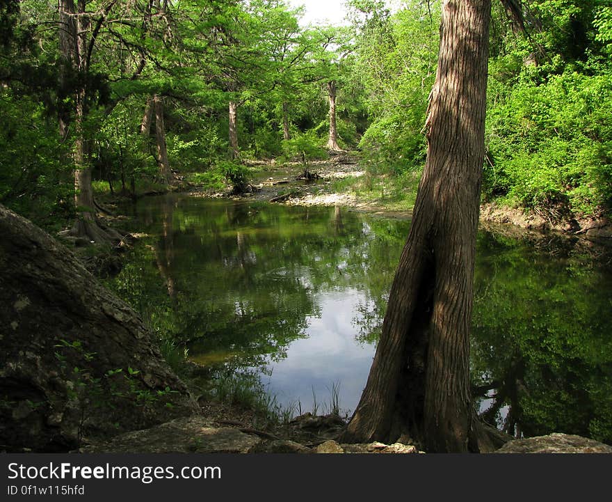 A look up the creek. A look up the creek.