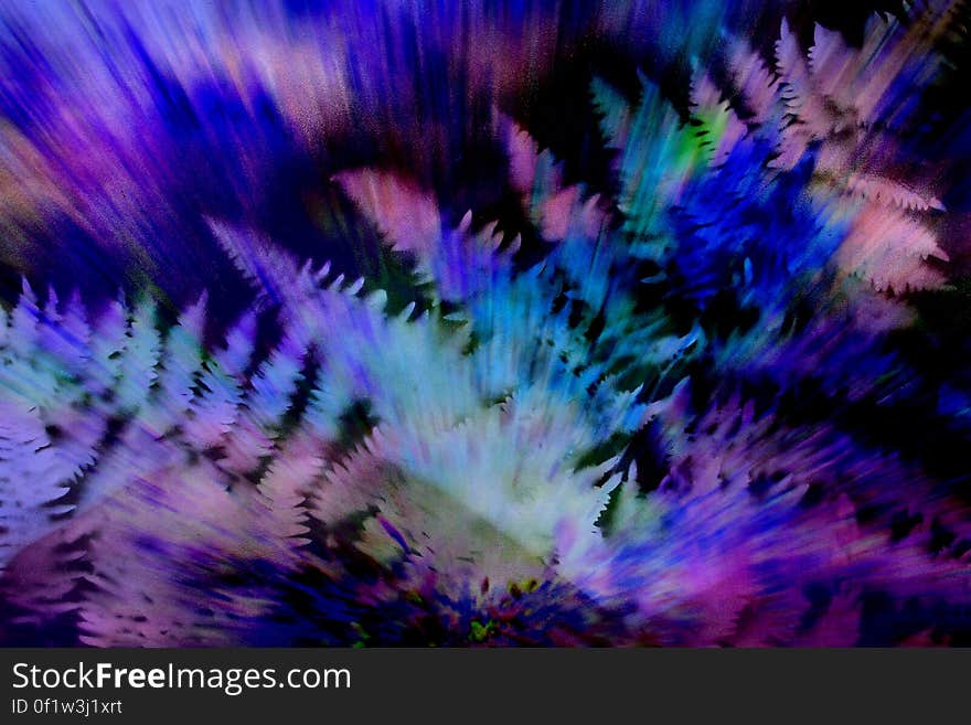 exploding ferns with purple