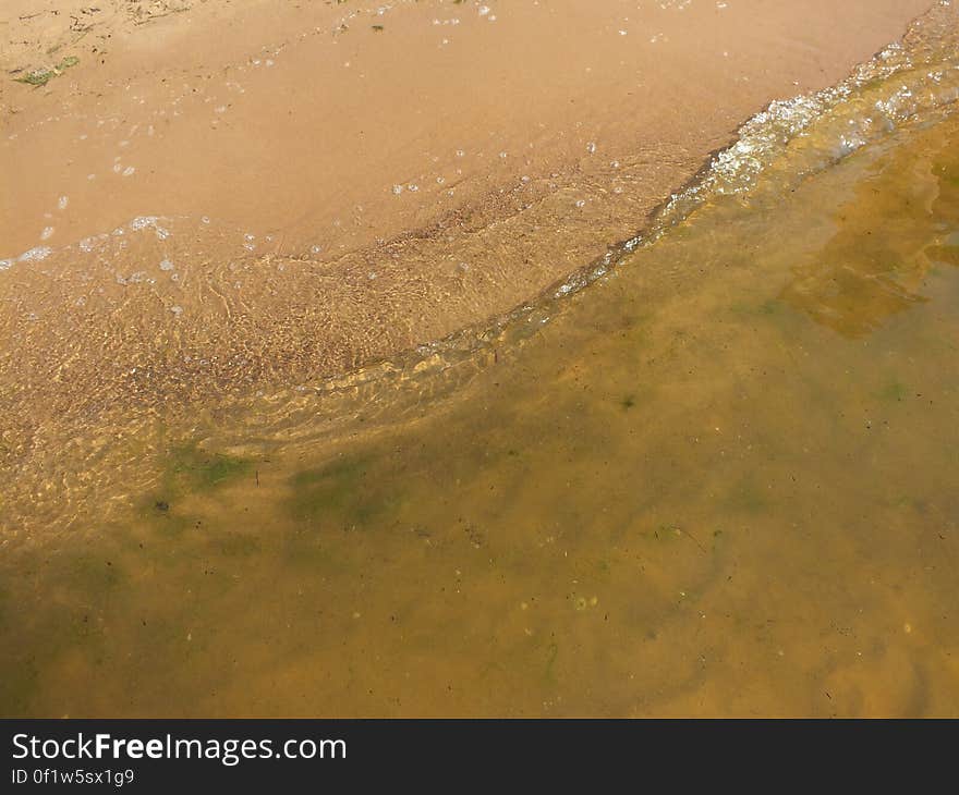 Brown, Water, Liquid, Fluid, Wood, Beach