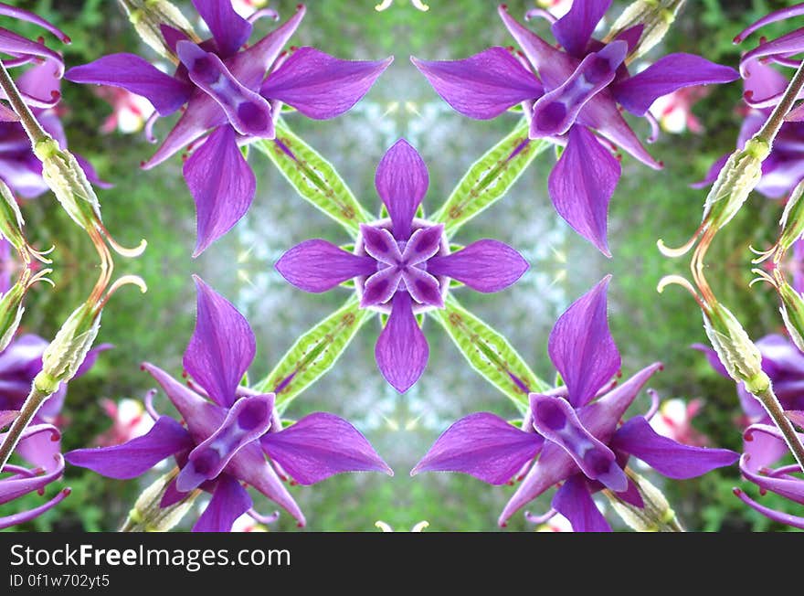 kaleidoscope &#x28;63&#x29;