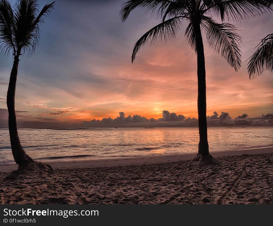 Sunset on Sea Shore