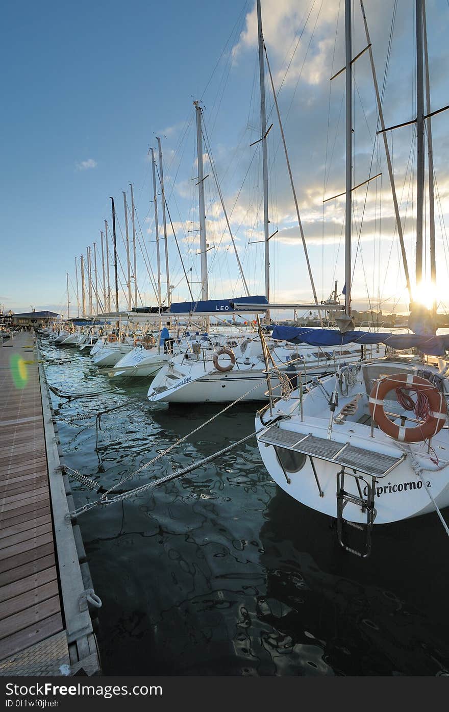 Il circolo nautico NIC viene fondato a Catania il 25/3/1972 e oggi conta oltre 600 iscritti tra soci, atleti, juniores e cadetti, coprendo una fascia di etÃ  che va dai bambini di 7 anni fino agli ultraottantenni, di ambo i sessi e di qualunque ceto sociale. Tessera ogni anno circa 500 soci sportivi con la Federazione Italiana Vela. Ha 7 dipendenti assunti a tempo pieno secondo il contratto nazionale di lavoro di categoria. Offre ormeggio a prezzi estremamente contenuti grazie al fatto di essere una associazione sportiva senza fini di lucro a circa 200 imbarcazioni che fanno attivitÃ  sportiva e consente in tal modo lâ€™esistenza di una nautica sociale e non di lusso che altrimenti sarebbe costretta a scomparire considerato il costo elevato di un posto barca negli altri ormeggi catanesi. Il Circolo Nic tra le varie associazioni sportive e culturali rappresenta da oltre un trentennio, il fiore allâ€™occhiello della cittÃ  e dellâ€™isola. Eâ€™ affiliato alla Federazione Italiana Vela &#x28;in cui alcuni soci ricoprono ed hanno ricoperto incarichi importanti&#x29; ed Ã¨ Centro CONI di Avviamento allo Sport. Offre ospitalitÃ  alle barche in transito di tutte le nazionalitÃ  al solo costo del rimborso spese ed avvalendosi di personale qualificato e poliglotta. Possiede una Scuola di Vela autorizzata dalla Federazione Italiana Vela che organizza corsi di Vela a basso costo ed aperti a tutti creando in tal modo il primo approccio dei giovani con il Mare e la Vela ed avvicinando ogni anno a questo sport numerosissimi bambini e ragazzi. Ha formato ragazzi catanesi, che hanno ottenuto brillanti affermazioni in prestigiose manifestazioni nazionali ed internazionali: uno dei nostri atleti, Nello Pavoni, nella scorsa edizione della Coppa America ha fatto parte dellâ€™equipaggio di &#x22;Mascalzone Latino&#x22; dopo avere vinto insieme a Francesco Calabretta nel 2000 il titolo Mondiale IMS..Inoltre fra i nostri atleti ricordiamo Lucio Di Mauro,nostro socio,che nel periodo fra il 1983 e il 1995 ha fatto parte della squadra nazionale di tavola a vela. In questo periodo ha conseguito numerosi successi nazionali e internazionali: campione del mondo classe Windsurfer, 2 medaglie d&#x27;argento alle Universiadi, 9Â°deg; alla pre-olimpica di Pusan &#x28;Seoul &#x27;98&#x29;, Campione italiano classe olimpica, Campione italiano classe Mistral, Campione italiano classe Race-board, Campione italiano Universitario, 2Â°deg; alla traversata Sicilia Malta. Ricordiamo ancora Domenico Dellâ€™Aria, Campione italiano nel 1985, che dopo numerose partecipazioni a Campionati Europei e Mondiali, dal 1988 al 1992 ricopre il ruolo di Tecnico Federale della Squadra Nazionale ed Olimpica di tavole a vela con cui partecipa alle Olimpiadi di Seul â€™88 e Barcellona â€™92. Il Circolo si distingue da un &#x22;marina&#x22; per la pratica dello sport, dellâ€™arte marinaresca e della cultura nautica che diffonde senza scopo di lucro, cosÃ¬ come previsto rigorosamente dallo Statuto, con la collaborazione di tutti i soci. Nello Sport abbiamo svolto nello scorso trentennio attivitÃ  sportive quali Campionati nazionali ed internazionali giovanili, Giro del mondo a vela con equipaggio familiare, Circumnavigazione dellâ€™Africa, Giro dâ€™Italia a vela, Traversata atlantica nel 1986 e nel 2005, partecipazioni vittoriose a campionati nazionali ed europei, Middle Sea Race, Siracusa-Malta, La Rotta del Sahara. Il Circolo ha di recente acquisito un ulteriore risultato che lo conferma come associazione efficacemente dedita al perseguimento di finalitÃ  di grande rilievo nello sport e nel sociale: ha ricevuto un importante riconoscimento dal Rotary International,con lâ€™ assegnazione del Premio Mannino 2005 &#x22;per avere sostenuto la pratica della vela come godimento e corretta fruizione della natura e per avere sempre proposto eventi nazionali ed internazionali che fanno conoscere i tanti aspetti del nostro mare e del nostro territorio.&#x22; Nel 2005 Ã¨ stato inserito, nella Clubswan Directory, costituito dagli Yacht Clubs piÃ¹ prestigiosi dâ€™Europa che svolgono una intensa ed importante attivitÃ  sportiva e culturale sul territorio per diffondere la conoscenza del Mare e della Vela. Il Circolo collabora da molti anni con le Scuole per iniziative che coinvolgono gli studenti per trasmettere la cultura del Mare. Interagiamo da circa 10 anni con lâ€™Istituto Nautico &#x22;Duca degli Abruzzi&#x22; di Catania con cui abbiamo stipulato nel 2003 un Protocollo dâ€™Intesa in cui viene riconosciuto ufficialmente al Circolo il ruolo di &#x22;soggetto formatore di percorsi didattici nel sistema di istruzione e di formazione professionale, nel settore della nautica, delle attivitÃ  marinare, del turismo nautico, della tecnica e delle varie attivitÃ  collegate al diporto ed alle aree portuali.&#x22; Tale protocollo Ã¨ il primo che Ã¨ stato siglato in Italia fra un Istituto Scolastico di Pubblica Istruzione ed un Circolo Nautico. Il Circolo ha costituito un gruppo donatori di sangue e organizza una regata a favore dellâ€™AVIS di Catania. Il Circolo Nic settimanalmente organizza tavole rotonde ed incontri con specialisti del settore su vari argomenti, quali le correnti di marea nello Stretto di Messina, Oceanografia, Navigazione piana, Navigazione Astronomica, Navigazione strumentale, Navigazione integrata, Meteorologia, Arte della navigazione a remi e a vela latina, galateo marinaresco. Il Circolo ha organizzato conferenze sullâ€™abbattimento delle barriere architettoniche nella nautica, e nellâ€™ambito di tali manifestazioni ha ospitato il catamarano &#x22;Spirito di Stella&#x22;. Il Circolo Ã¨ un luogo ove Ã¨ possibile avere scambi di opinioni e di esperienze. Ãˆ nostra convinzione, infatti, che il bagaglio di conoscenze ed esperienze accumulate in tanti anni nel settore della Nautica non debba essere disperso, ma debba invece essere trasmesso agli altri. Il Nic si presenta come una realtÃ  unica con un&#x27;attivitÃ  che contribuisce all&#x27;elevazione morale dei giovani diffondendo una cultura del mare che possa cosÃ¬ essere sempre piÃ¹ presente nelle nuove generazioni. Il circolo nautico NIC viene fondato a Catania il 25/3/1972 e oggi conta oltre 600 iscritti tra soci, atleti, juniores e cadetti, coprendo una fascia di etÃ  che va dai bambini di 7 anni fino agli ultraottantenni, di ambo i sessi e di qualunque ceto sociale. Tessera ogni anno circa 500 soci sportivi con la Federazione Italiana Vela. Ha 7 dipendenti assunti a tempo pieno secondo il contratto nazionale di lavoro di categoria. Offre ormeggio a prezzi estremamente contenuti grazie al fatto di essere una associazione sportiva senza fini di lucro a circa 200 imbarcazioni che fanno attivitÃ  sportiva e consente in tal modo lâ€™esistenza di una nautica sociale e non di lusso che altrimenti sarebbe costretta a scomparire considerato il costo elevato di un posto barca negli altri ormeggi catanesi. Il Circolo Nic tra le varie associazioni sportive e culturali rappresenta da oltre un trentennio, il fiore allâ€™occhiello della cittÃ  e dellâ€™isola. Eâ€™ affiliato alla Federazione Italiana Vela &#x28;in cui alcuni soci ricoprono ed hanno ricoperto incarichi importanti&#x29; ed Ã¨ Centro CONI di Avviamento allo Sport. Offre ospitalitÃ  alle barche in transito di tutte le nazionalitÃ  al solo costo del rimborso spese ed avvalendosi di personale qualificato e poliglotta. Possiede una Scuola di Vela autorizzata dalla Federazione Italiana Vela che organizza corsi di Vela a basso costo ed aperti a tutti creando in tal modo il primo approccio dei giovani con il Mare e la Vela ed avvicinando ogni anno a questo sport numerosissimi bambini e ragazzi. Ha formato ragazzi catanesi, che hanno ottenuto brillanti affermazioni in prestigiose manifestazioni nazionali ed internazionali: uno dei nostri atleti, Nello Pavoni, nella scorsa edizione della Coppa America ha fatto parte dellâ€™equipaggio di &#x22;Mascalzone Latino&#x22; dopo avere vinto insieme a Francesco Calabretta nel 2000 il titolo Mondiale IMS..Inoltre fra i nostri atleti ricordiamo Lucio Di Mauro,nostro socio,che nel periodo fra il 1983 e il 1995 ha fatto parte della squadra nazionale di tavola a vela. In questo periodo ha conseguito numerosi successi nazionali e internazionali: campione del mondo classe Windsurfer, 2 medaglie d&#x27;argento alle Universiadi, 9Â°deg; alla pre-olimpica di Pusan &#x28;Seoul &#x27;98&#x29;, Campione italiano classe olimpica, Campione italiano classe Mistral, Campione italiano classe Race-board, Campione italiano Universitario, 2Â°deg; alla traversata Sicilia Malta. Ricordiamo ancora Domenico Dellâ€™Aria, Campione italiano nel 1985, che dopo numerose partecipazioni a Campionati Europei e Mondiali, dal 1988 al 1992 ricopre il ruolo di Tecnico Federale della Squadra Nazionale ed Olimpica di tavole a vela con cui partecipa alle Olimpiadi di Seul â€™88 e Barcellona â€™92. Il Circolo si distingue da un &#x22;marina&#x22; per la pratica dello sport, dellâ€™arte marinaresca e della cultura nautica che diffonde senza scopo di lucro, cosÃ¬ come previsto rigorosamente dallo Statuto, con la collaborazione di tutti i soci. Nello Sport abbiamo svolto nello scorso trentennio attivitÃ  sportive quali Campionati nazionali ed internazionali giovanili, Giro del mondo a vela con equipaggio familiare, Circumnavigazione dellâ€™Africa, Giro dâ€™Italia a vela, Traversata atlantica nel 1986 e nel 2005, partecipazioni vittoriose a campionati nazionali ed europei, Middle Sea Race, Siracusa-Malta, La Rotta del Sahara. Il Circolo ha di recente acquisito un ulteriore risultato che lo conferma come associazione efficacemente dedita al perseguimento di finalitÃ  di grande rilievo nello sport e nel sociale: ha ricevuto un importante riconoscimento dal Rotary International,con lâ€™ assegnazione del Premio Mannino 2005 &#x22;per avere sostenuto la pratica della vela come godimento e corretta fruizione della natura e per avere sempre proposto eventi nazionali ed internazionali che fanno conoscere i tanti aspetti del nostro mare e del nostro territorio.&#x22; Nel 2005 Ã¨ stato inserito, nella Clubswan Directory, costituito dagli Yacht Clubs piÃ¹ prestigiosi dâ€™Europa che svolgono una intensa ed importante attivitÃ  sportiva e culturale sul territorio per diffondere la conoscenza del Mare e della Vela. Il Circolo collabora da molti anni con le Scuole per iniziative che coinvolgono gli studenti per trasmettere la cultura del Mare. Interagiamo da circa 10 anni con lâ€™Istituto Nautico &#x22;Duca degli Abruzzi&#x22; di Catania con cui abbiamo stipulato nel 2003 un Protocollo dâ€™Intesa in cui viene riconosciuto ufficialmente al Circolo il ruolo di &#x22;soggetto formatore di percorsi didattici nel sistema di istruzione e di formazione professionale, nel settore della nautica, delle attivitÃ  marinare, del turismo nautico, della tecnica e delle varie attivitÃ  collegate al diporto ed alle aree portuali.&#x22; Tale protocollo Ã¨ il primo che Ã¨ stato siglato in Italia fra un Istituto Scolastico di Pubblica Istruzione ed un Circolo Nautico. Il Circolo ha costituito un gruppo donatori di sangue e organizza una regata a favore dellâ€™AVIS di Catania. Il Circolo Nic settimanalmente organizza tavole rotonde ed incontri con specialisti del settore su vari argomenti, quali le correnti di marea nello Stretto di Messina, Oceanografia, Navigazione piana, Navigazione Astronomica, Navigazione strumentale, Navigazione integrata, Meteorologia, Arte della navigazione a remi e a vela latina, galateo marinaresco. Il Circolo ha organizzato conferenze sullâ€™abbattimento delle barriere architettoniche nella nautica, e nellâ€™ambito di tali manifestazioni ha ospitato il catamarano &#x22;Spirito di Stella&#x22;. Il Circolo Ã¨ un luogo ove Ã¨ possibile avere scambi di opinioni e di esperienze. Ãˆ nostra convinzione, infatti, che il bagaglio di conoscenze ed esperienze accumulate in tanti anni nel settore della Nautica non debba essere disperso, ma debba invece essere trasmesso agli altri. Il Nic si presenta come una realtÃ  unica con un&#x27;attivitÃ  che contribuisce all&#x27;elevazione morale dei giovani diffondendo una cultura del mare che possa cosÃ¬ essere sempre piÃ¹ presente nelle nuove generazioni.