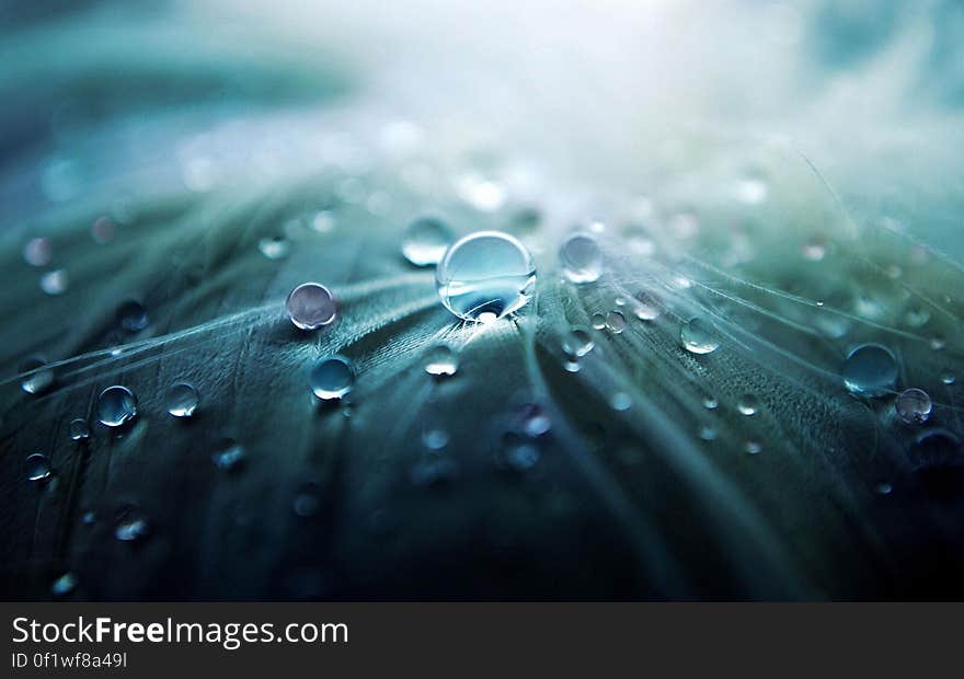 Rain drops falling on an abstract surface.