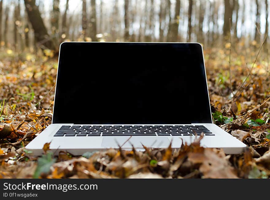 An open laptop lying in forest foliage in autumn. An open laptop lying in forest foliage in autumn.