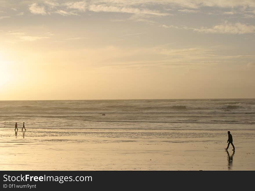 Cannon Beach Scenery 2005 - 12.JPG