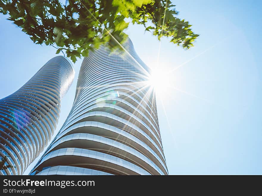 Two curved skyscrapers reaching to the sky with a tree blowing in the wind and sun rays from behind.