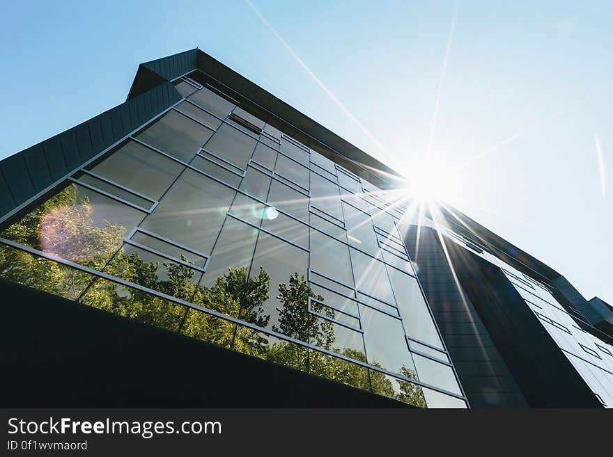 Modern glass building with a mosaic of shaped windows.