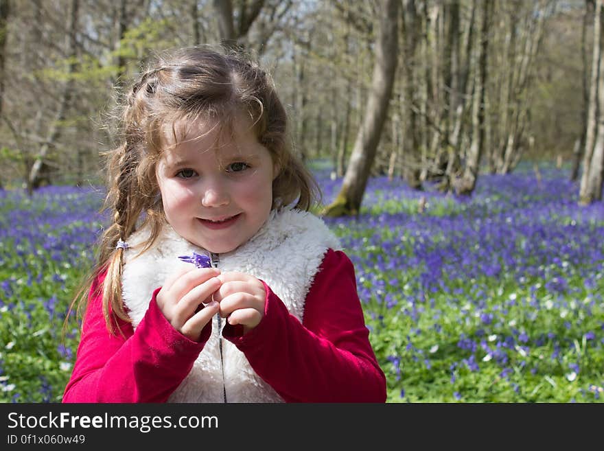 Girl in Red and Beige Jacket Holding Purple Petaled Flower