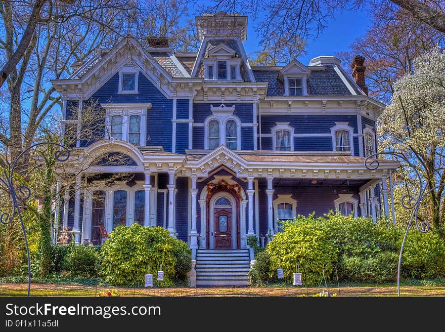 White Blue and Brown Painted House Near Green Plants