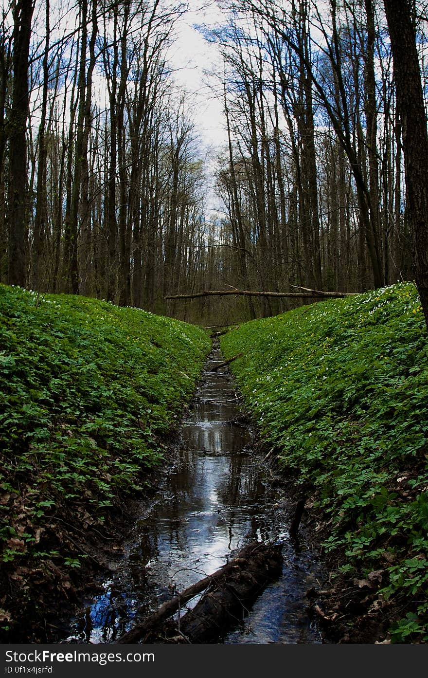 Location: Park Zwierzyniecki, Białystok, Poland