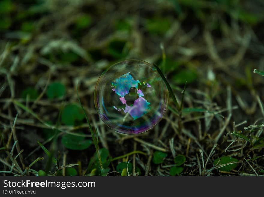 A close up shot of a bubble in the grass. A close up shot of a bubble in the grass.