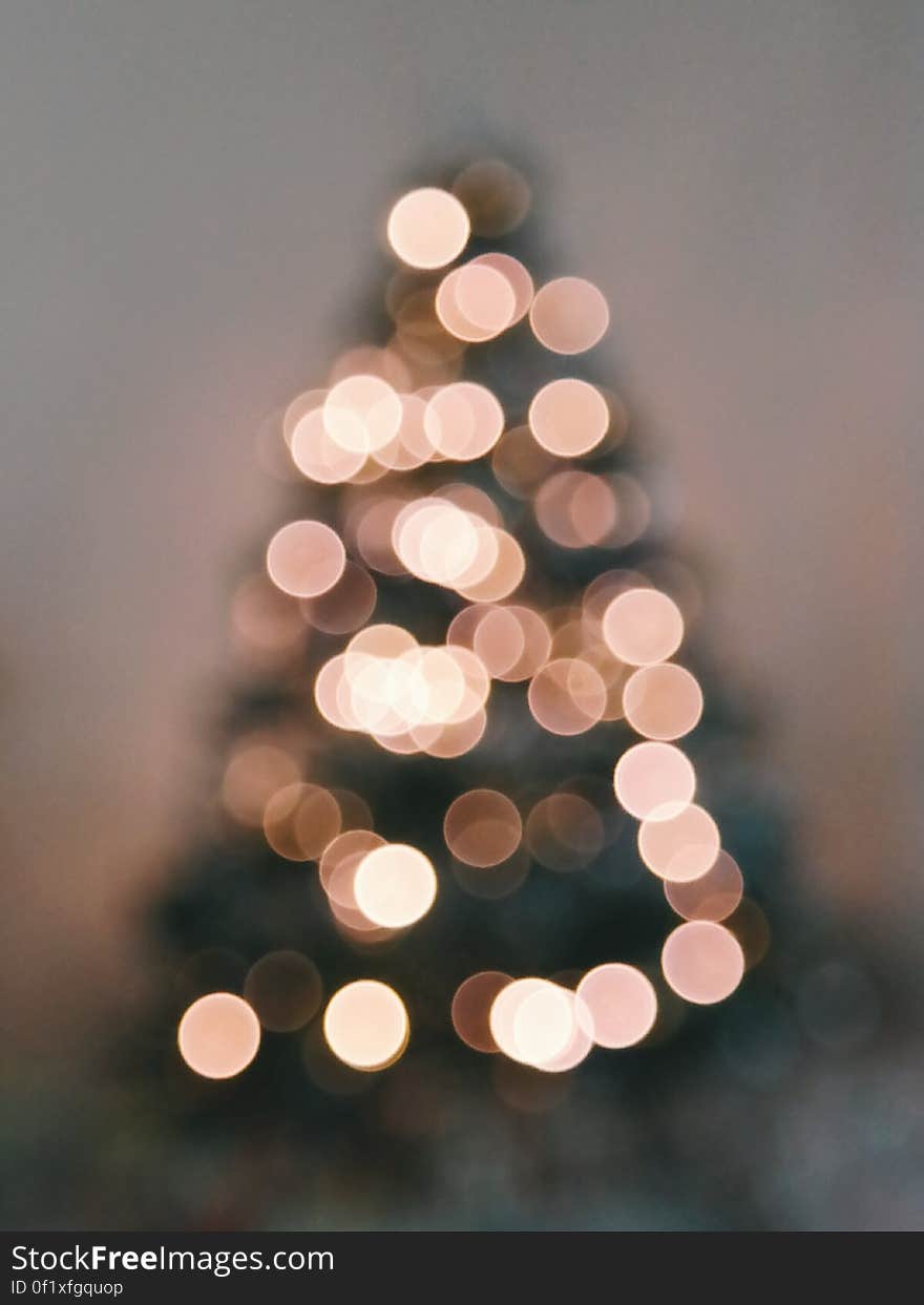 Defocused Image of Illuminated Christmas Tree Against Sky