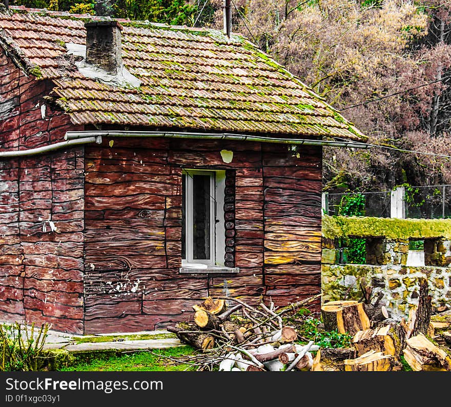 A little rural house with cut trees around it.