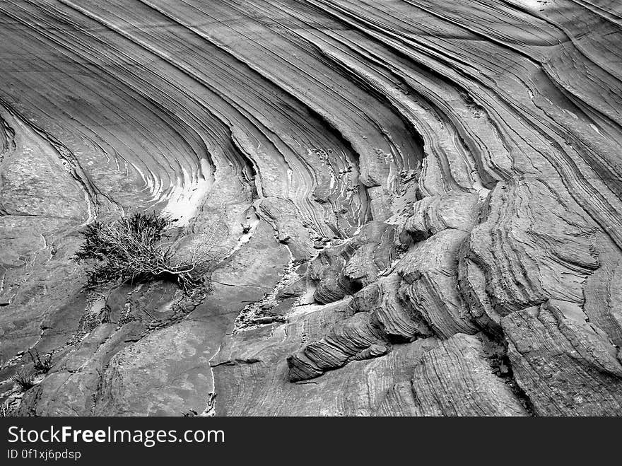 Grayscale Photo of Rocky Terrain