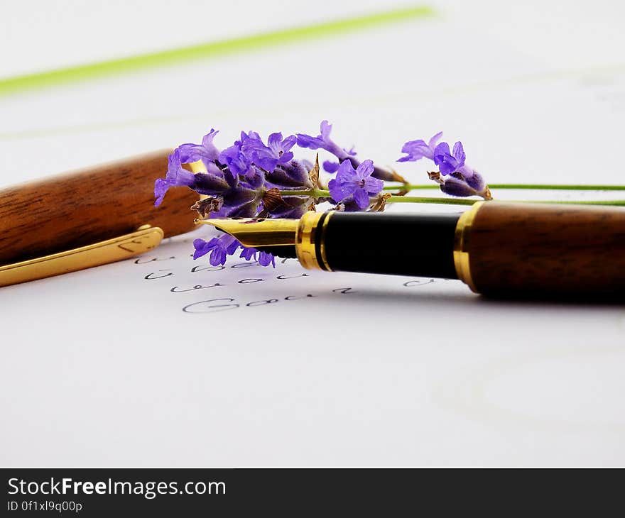 Brown Black and Brass Fountain Pen