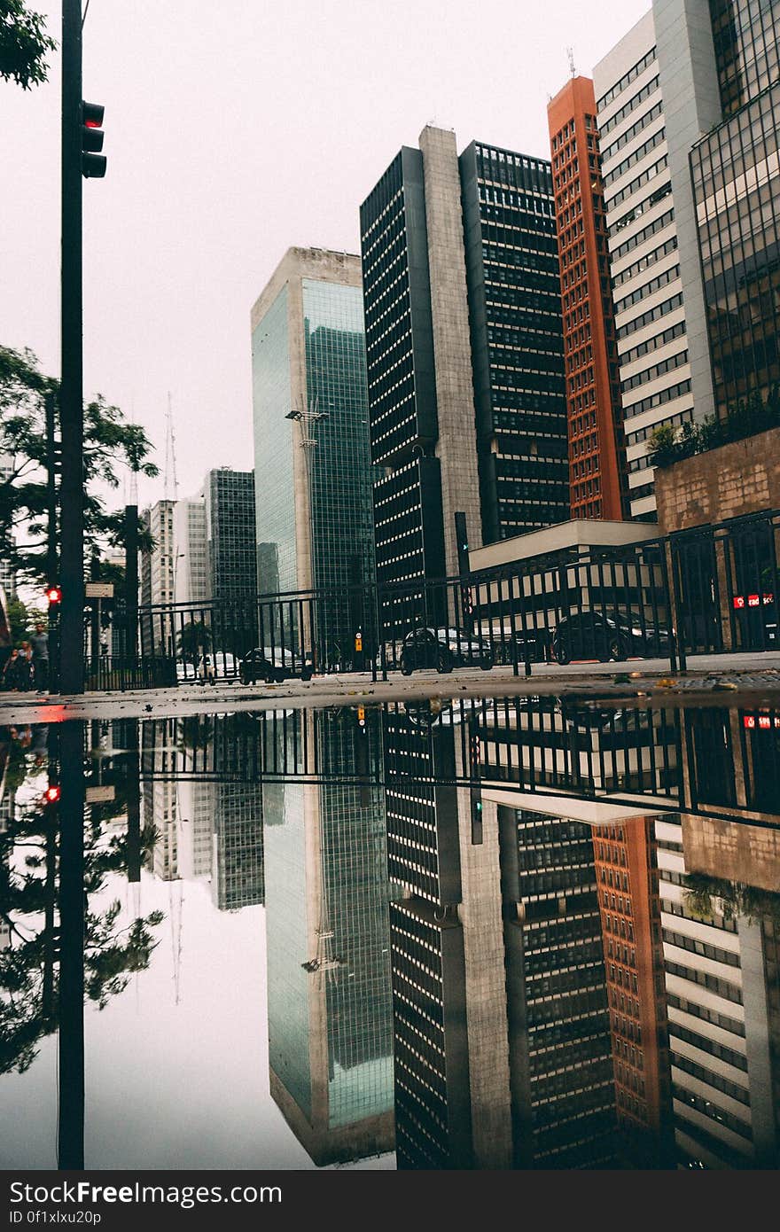 Series of skyscrapers on a gray day with road, cars and traffic lights at ground level and railings all reflected in a lake or large pond, gray sky. Series of skyscrapers on a gray day with road, cars and traffic lights at ground level and railings all reflected in a lake or large pond, gray sky.