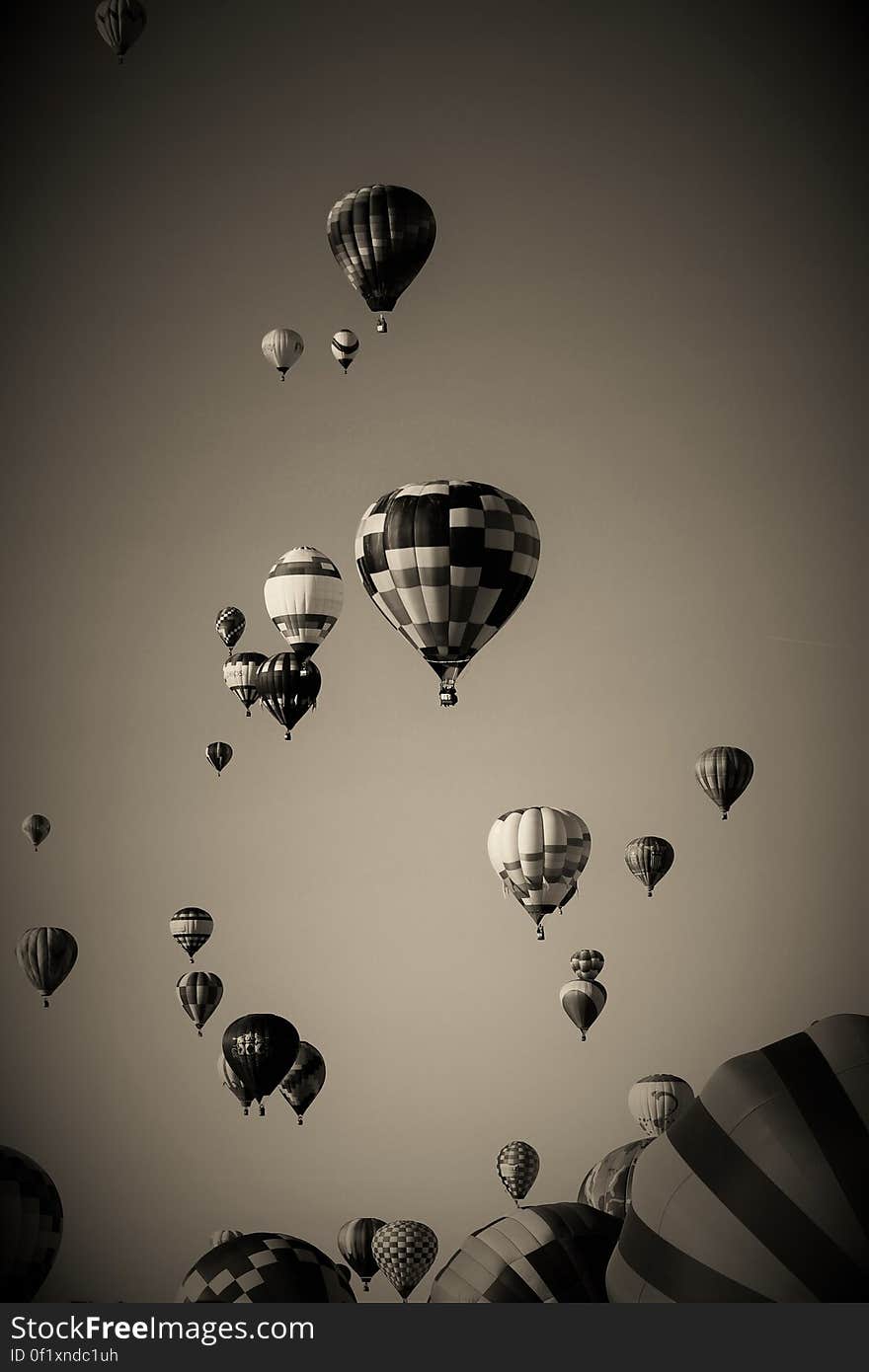 Hot air balloons soaring in the sky.