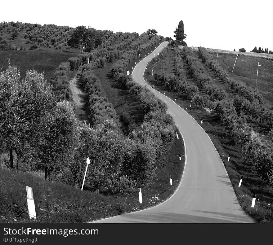 Can I use this photo? Read here for more informations. Olive grove – Tuscany – 21 July 2009 These are photos I took in the summer of 2009 on a long trip I made from Rome to Austria. read more &gt;&gt;. Can I use this photo? Read here for more informations. Olive grove – Tuscany – 21 July 2009 These are photos I took in the summer of 2009 on a long trip I made from Rome to Austria. read more &gt;&gt;