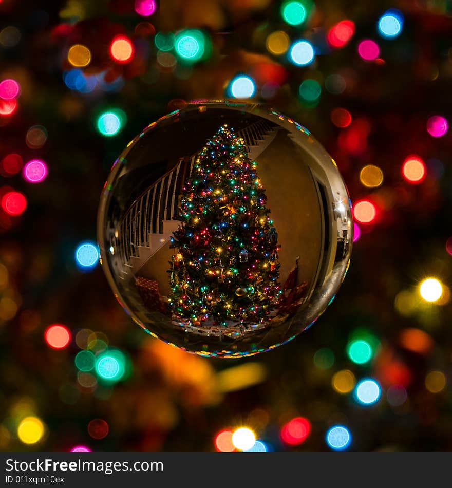 A close up of a round Christmas decoration and a Christmas tree reflecting on it.