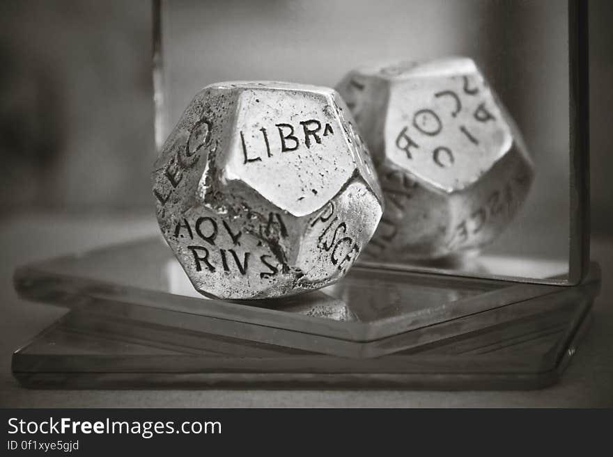 Silver Zidiac 20 Sided Dice