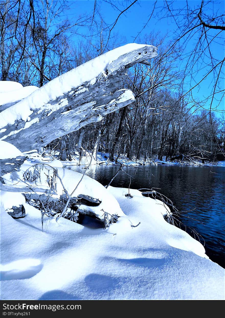 Scenic view of countryside lake in winter with snow covered branches in foreground.