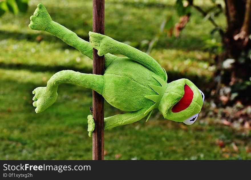 Kermit the Frog toy hanging from a pole in a garden.