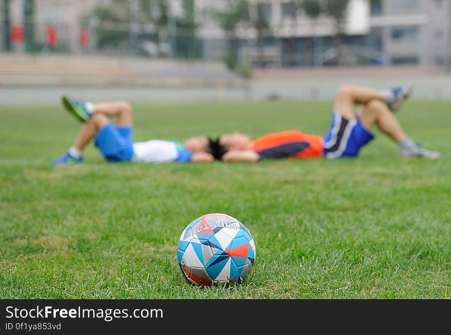 Soccer Ball on Grass