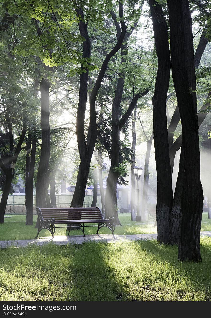 A view in a park with a bench and mist in the air. A view in a park with a bench and mist in the air.