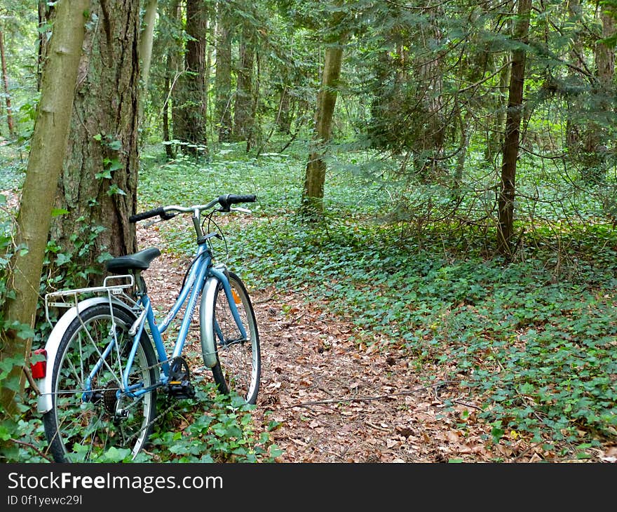 And my bike is my most trusty steed. And my bike is my most trusty steed.