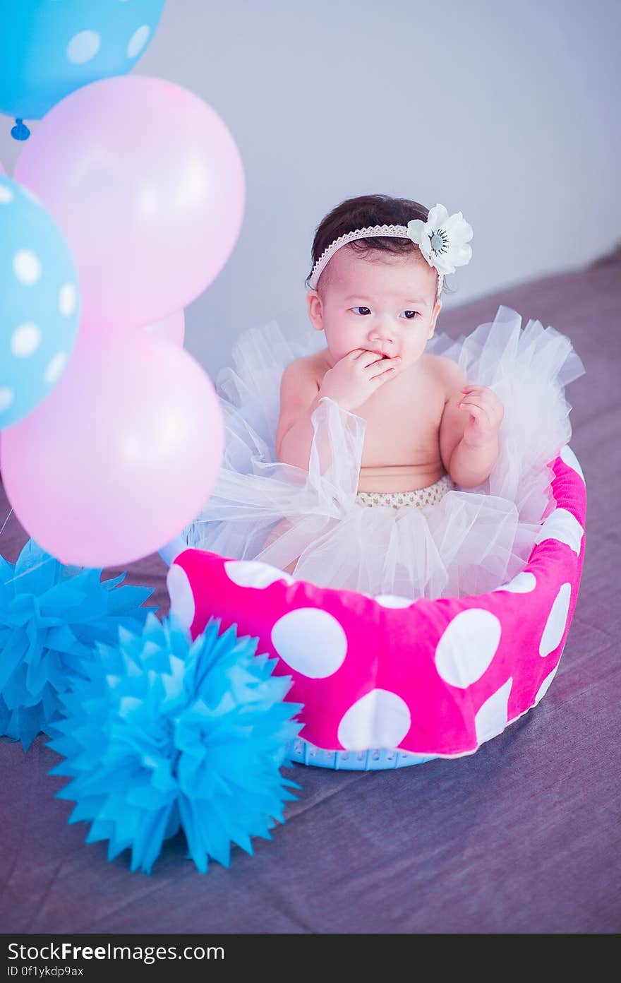 A baby sitting in a basket wearing a tutu with colorful balloons. A baby sitting in a basket wearing a tutu with colorful balloons.