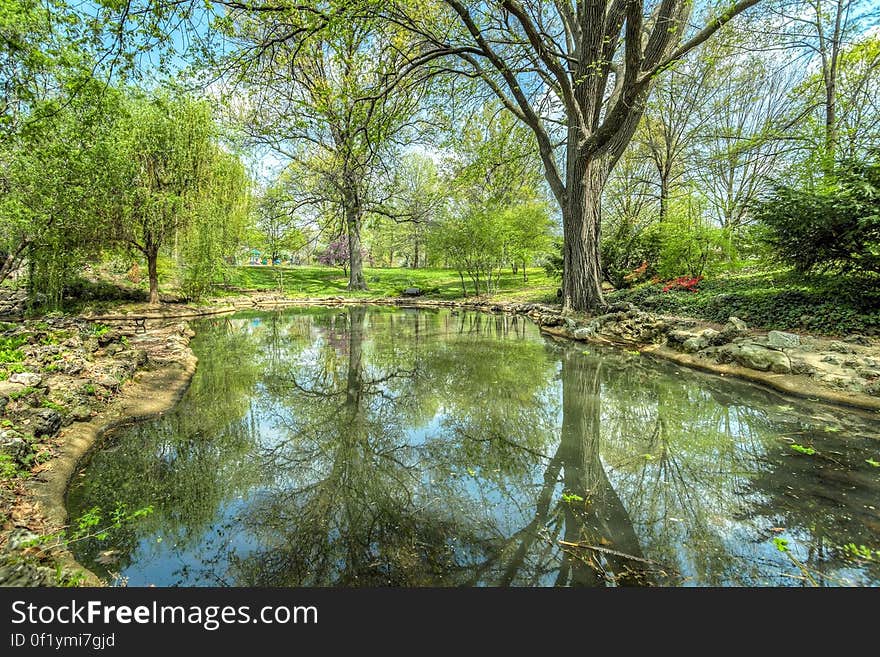 A small pond in a green park, trees reflecting on the water surface. A small pond in a green park, trees reflecting on the water surface.